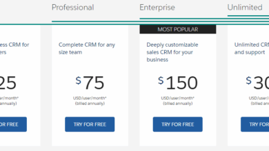 Salesforce CRM Cost: Factors, Pricing Models, And Comparisons